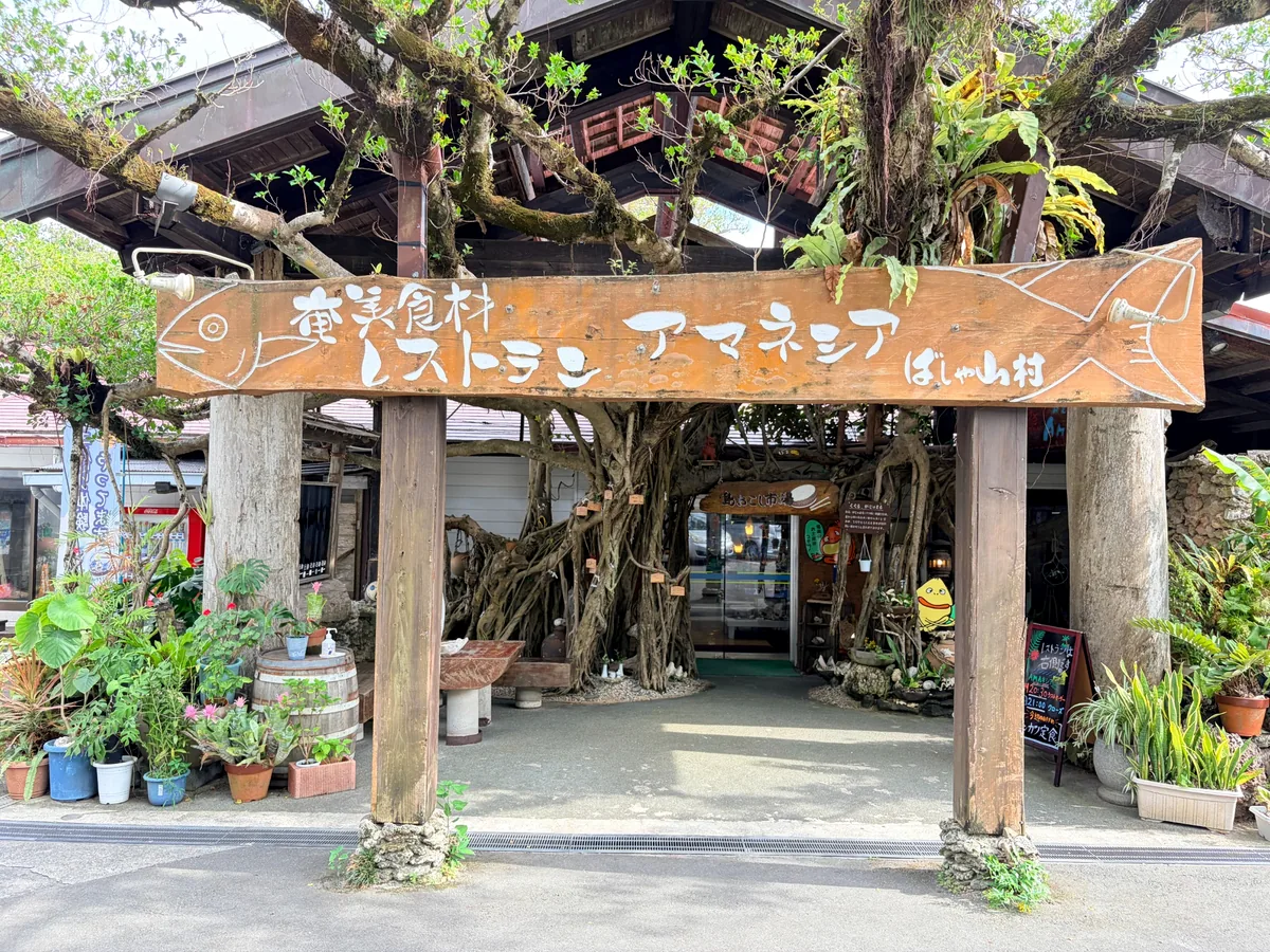 レストラン AMAネシア